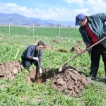 Antalya Korkuteli ilk kez ipekböcekçiliği ile tanışıyor
