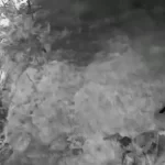 Bursa Kestel’de çelik kasa hırsızlığı çözüldü