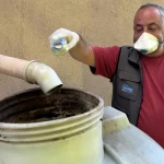 İstanbul Maltepe’de sivrisinek mücadelesi erken başladı