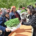 İzmir Bornova’da 150 bin yazlık sebze fidesi dağıtıldı