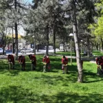 Kayseri Kocasinan’da açık alanlarda yoğun ilaçlama