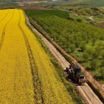 Tarla yolları hasada hazırlanıyor