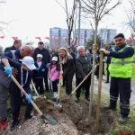 İstanbul Bakırköy’de minik eller can verdi