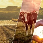 17,4 milyar TL’lik tarımsal destek çiftçilerin hesabında