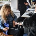 ABB’den yerinde sağlık hizmeti