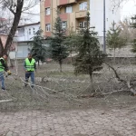 Ağrı’da park ve yeşil alanlarda yenileme çalışmaları