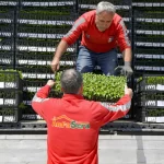 Ankara Büyükşehir’den çiftçilere 624 bin fide desteği