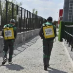 Başkent’te haşereyle etkin mücadele