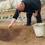 Bilecik Pazaryeri’nde tütün geçim kapısı oluyor