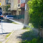 Bu ili kokarcalar istila etti