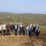 Bursa Nilüfer’de atıl araziler bereketleniyor