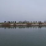 Bursa Nilüfer’de doğaseverler Mysia’nın izinde