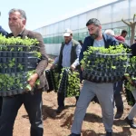 Çiftçiye 1 milyon fide desteği