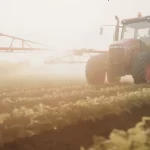 Çiftçiye dev destek… 12,8 milyar lira hesaplara yatırılıyor