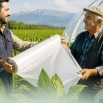 Denizli Büyükşehir’den tütün üreticisine destek