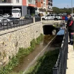 Haşereye karşı larvasit çözüm