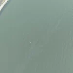 İzmir Körfezi’nde kirlilik endişelendiriyor! Aynı tehdit 11. kez görüldü