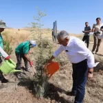 Kayseri Büyükşehir’den kente ‘yeşil’ atılım