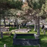 Kayseri’de ‘yeşil’ seferberlik