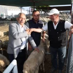 Kayseri Talas’ta kurban satış yeri belirlendi