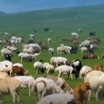 Kırsalda Bereket başvurularında son gün 30 Nisan