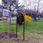 Masumiyet çınarları, kaybedilen canların hatırasını yaşatacak