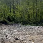 Rize’de vahşi depolamaya milyonluk ceza! Çevre’den suç duyurusu