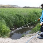 Sakarya ekipler zararlı vektörle mücadeleyi sürdürüyor