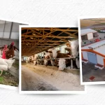 IPARD III sonuçları açıklandı… 218 projeye 2,5 milyar TL hibe