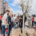 Kayseri Melikgazi’den yemyeşil atılım