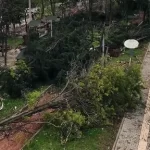 Gaziantep’e 50 milyon TL aktarıldı